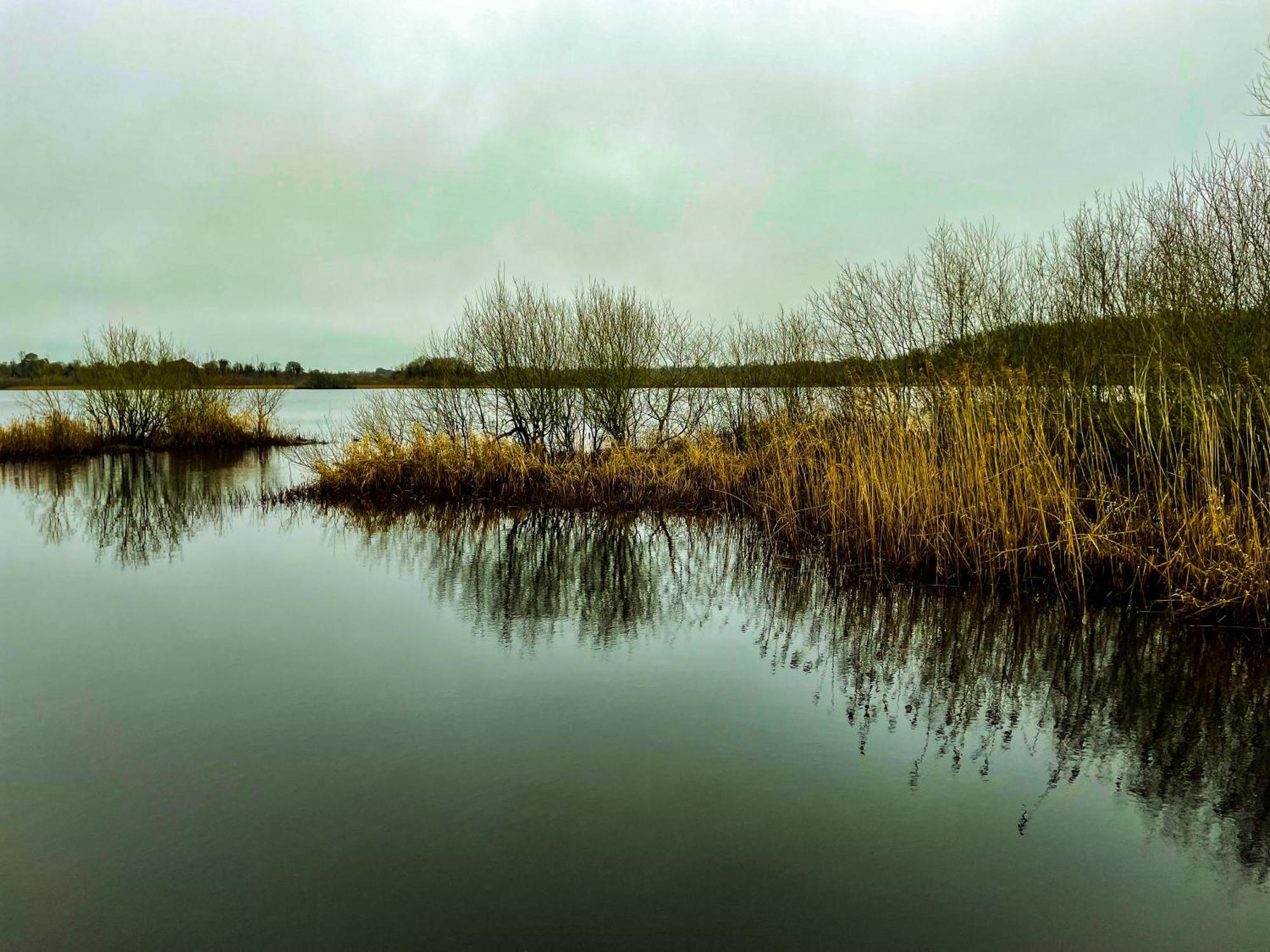 Lough Rynn